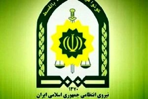 توضیحات پلیس درباره زیرگرفتن یک روحانی در تهران/ ویدئو
