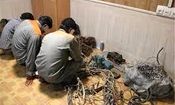 متلاشی شدن باند سارقان سیم برق هوایی در میاندورود
