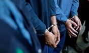 کشف ۳۰ فقره سرقت منزل و ۶۰ راس احشام فاقد مجوز