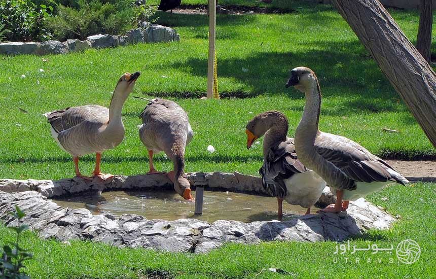 راهنمای سفر نوروزی به اصفهان