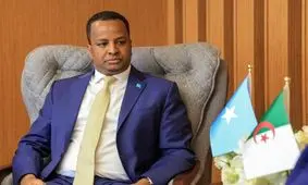 وزیر خارجه سومالی: تحت فشار شدیدی برای پذیرش آوارگان غزه هستیم

