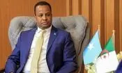وزیر خارجه سومالی: تحت فشار شدیدی برای پذیرش آوارگان غزه هستیم

