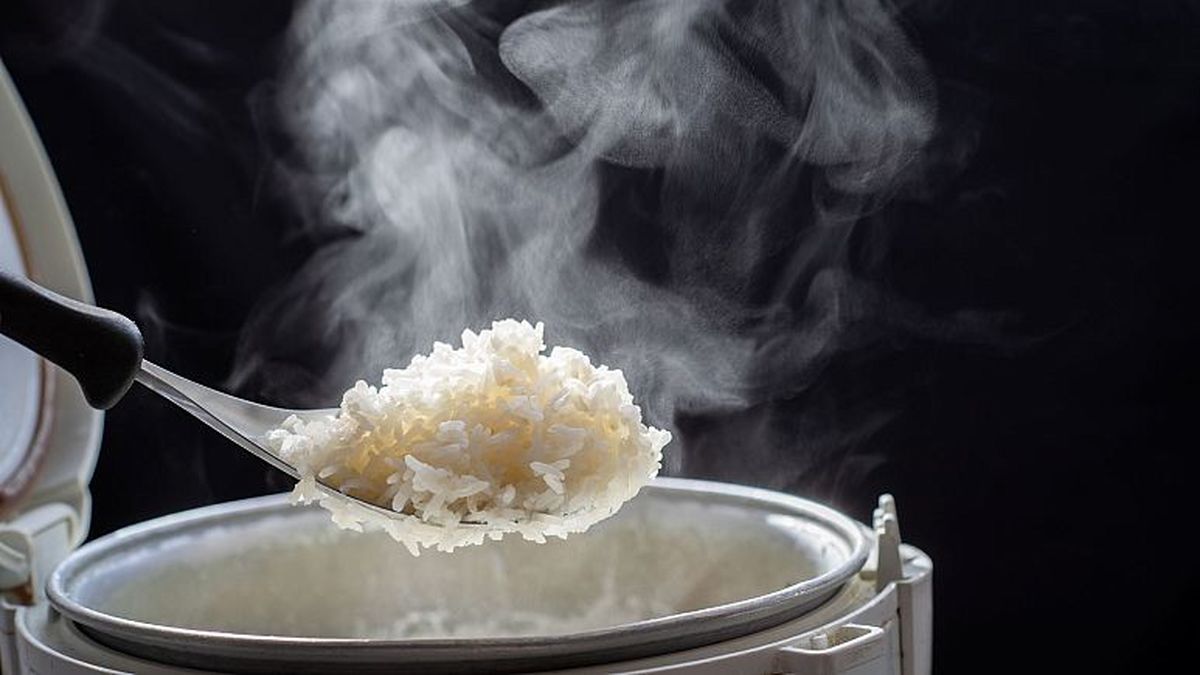 آیا برنج را قبل از پخت باید شست یا نه؟/ محققان پاسخ می‌دهند