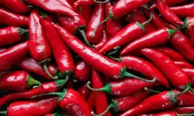 ۱۱ نکته مفید برای پرورش فلفل خانگی