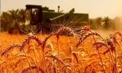 نگاهی به امنیت غذایی کشورهای منطقه/ اینفوگرافیک