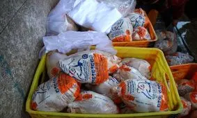 محدودیتی در توزیع مرغ منجمد نداریم

