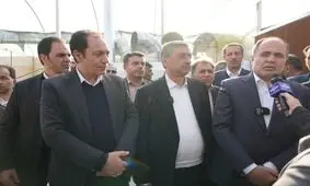 ۶۰ هزار تن برنج وارداتی آلوده نیست/ صدور مجوز واردات ۵۰ هزار تن برنج و سیب زمینی


