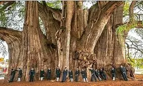 ۱۶ عکس تماشایی که از فرط زیبایی، حیرت‌انگیز هستند