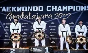 طلای تکواندوکار ایرانی برای تیم صربستان در رقابت‌های جهانی
