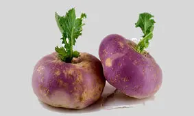 «شلغم» پنی سیلین دارد؟