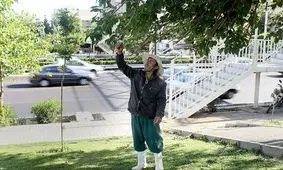 توت های تهران سرطان زاست