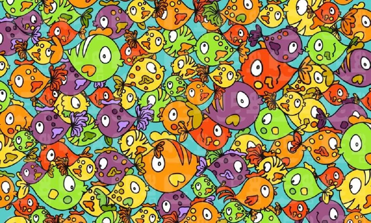 تست بینایی/ مرغ پنهان شده در میان ماهی‌ها را  در 8 ثانیه پیدا کنید