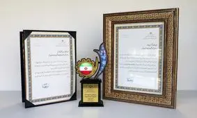 معرفی رایتل برای دومین بار به عنوان کارفرمای برتر سلامت محور