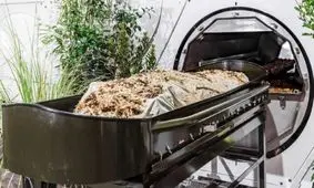 پس از مرگ نیز به محیط زیست کمک کنید!