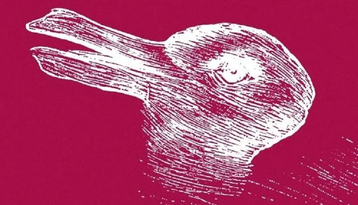 اردک یا خرگوش؟/ در اولین نگاه چه می‌بینید؟