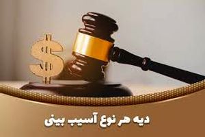  دیه مُشت‌ زدن و شکستن بینی چقدر است؟/ ویدئو
