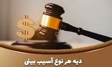  دیه مُشت‌ زدن و شکستن بینی چقدر است؟/ ویدئو