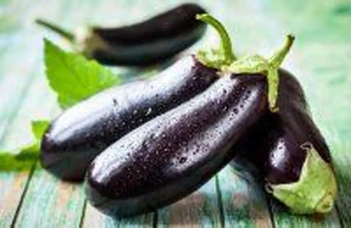بادمجان را هرگز سرخ نکنید
