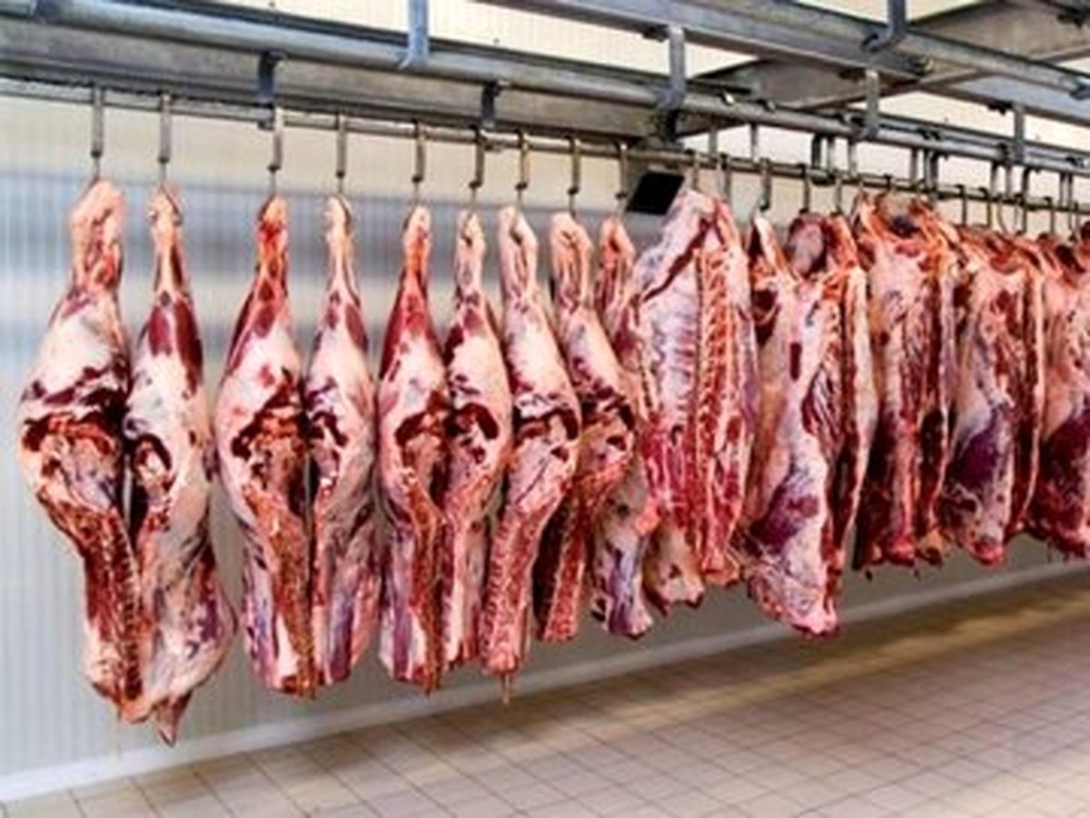 میگویند عرضه گوشت افزایش پیدا کرده اما کو؟/ احتمال جهش قیمت گوشت در نیمه دوم ۱۴۰۳