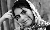 هشدار نماینده مجلس پس از قتل الهه حسین نژاد/ خودروهای شخصی نباید مسافر جا به جا کنند
