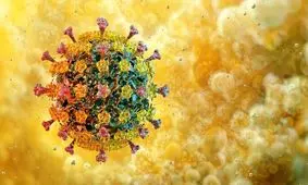 مقاومت آنفلوانزای پرندگان در برابر تب، دانشمندان را نگران کرد

