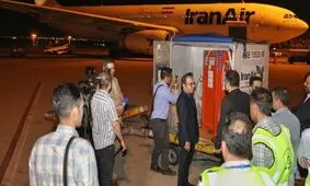 سنگ‌نگاره ساسانی بامداد امروز به ایران بازگشت


