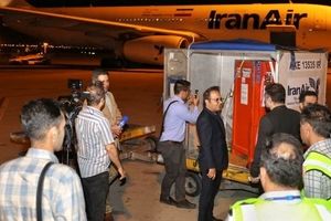 سنگ‌نگاره ساسانی بامداد امروز به ایران بازگشت

