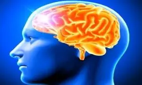  تغذیه و مواد غذایی سالم و طبیعی برای جوان ماندن مغز