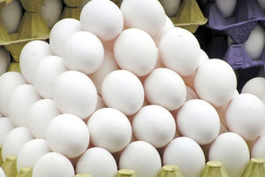 هیچ کمبودی در بازار تخم مرغ نداریم/ مازاد تولید برای صادرات 