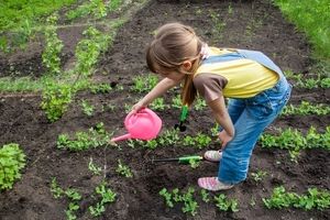 ۱۲ راه آسان برای بهبود سلامتی در تابستان