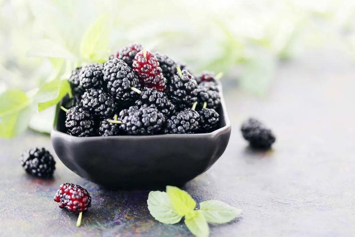 خواص شگفت انگیز توت سیاه