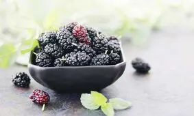 خواص شگفت انگیز توت سیاه