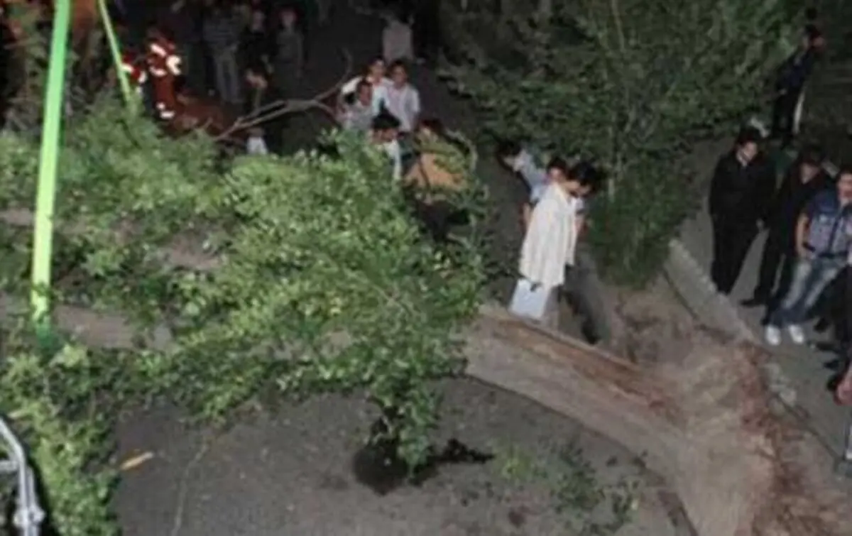مرگ 2 کودک در حادثه پارک جنگلی مازندران

