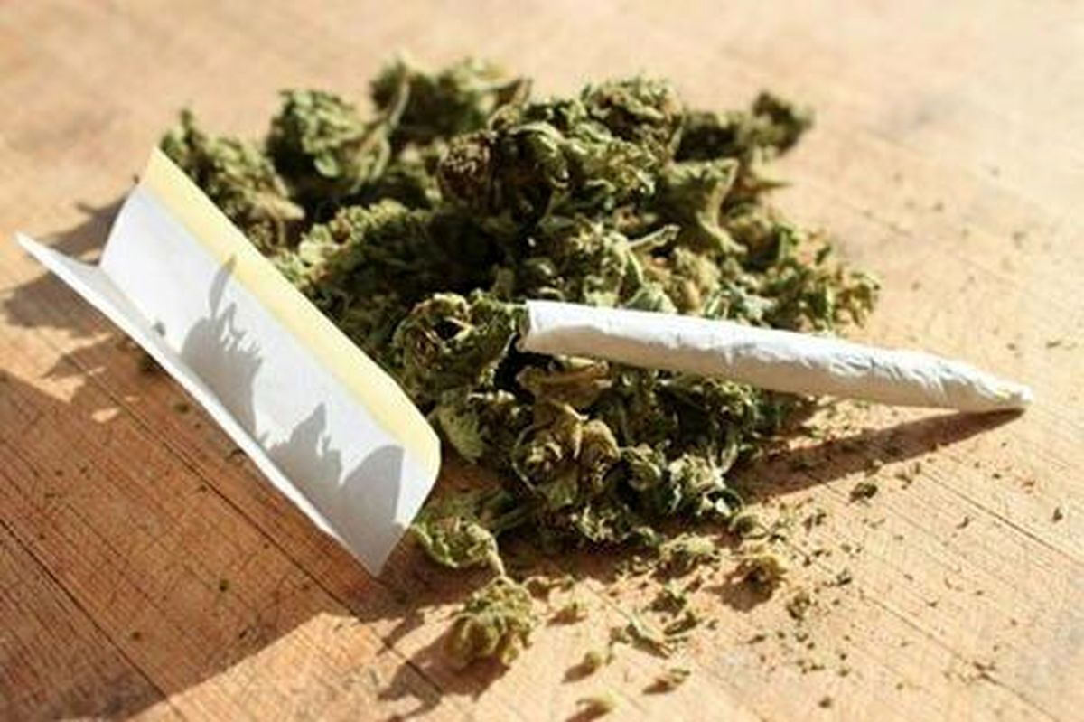 هشدار ستاد مبارزه با مواد مخدر: «گل» به شدت اعتیاد آور است