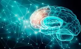 زیرنویس مغزی؛ دانشمندان راهی برای تبدیل افکار به متن با اسکن MRI پیدا کردند