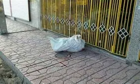 معمای جسد زن بی‌سر و دست/ پیدا شدن اعضای بدن زن جوان در ۲ نقطه پایتخت