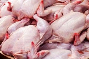 نیم کیلوگرم گوشت مرغ در بازار چقدر شد؟
