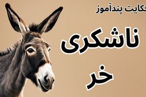 حکایت ناشکری خر از مثنوی معنوی مولانا/ حکایت ناشکری خری که خود را با اسب ها مقایسه می کرد
