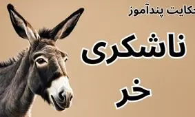 حکایت ناشکری خر از مثنوی معنوی مولانا/ حکایت ناشکری خری که خود را با اسب ها مقایسه می کرد