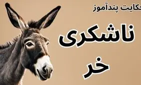 حکایت ناشکری خر از مثنوی معنوی مولانا/ حکایت ناشکری خری که خود را با اسب ها مقایسه می کرد