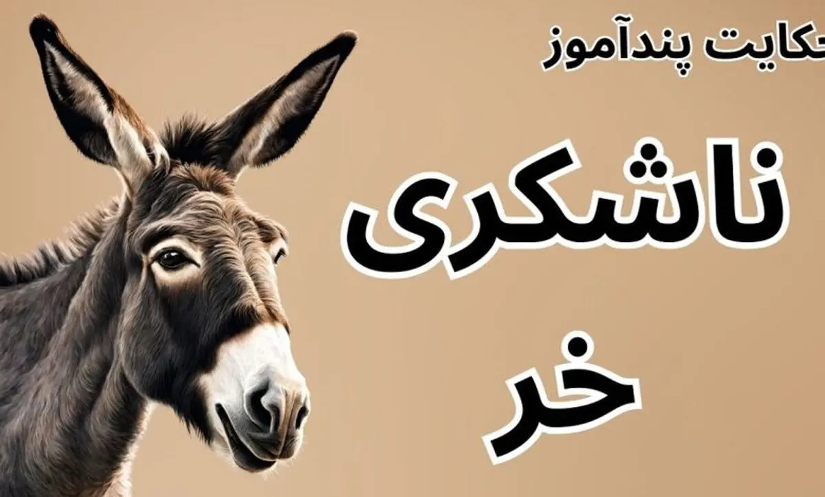 حکایت ناشکری خر از مثنوی معنوی مولانا/ حکایت ناشکری خری که خود را با اسب ها مقایسه می کرد