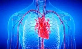 چاقی می‌تواند آناتومی قلب کودکان را تغییر دهد