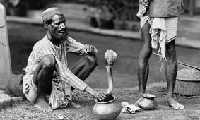 از نشستن روی میخ تا راه رفتن روی آتش؛ چرا هندوها کارهای عجیب می‌کنند؟