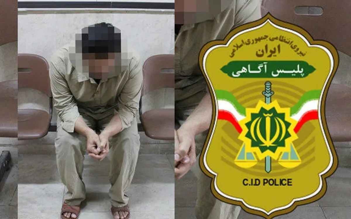 کلاهبرداری از خریداران خانه در پوشش مشاور املاک با آگهی جعلی/ ویدئو