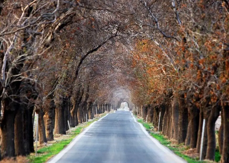 پاییز را همین نزدیکی پیدا کنید/ ۵ مقصد برای سفر یک‌روزه پاییزی اطراف تهران