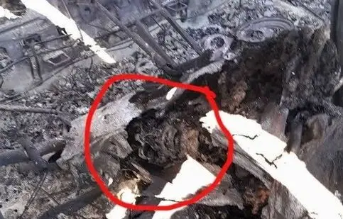  عذرخواهی مجری شبکه خبر به دلیل پخش تصویری نادرست از یک جمجمه در شب گذشته/ ویدئو