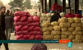 قیمت سیب زمینی وارداتی اعلام شد/ ویدئو