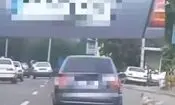 دستگیری یک حیوان‌آزار در تالش/ ویدئو