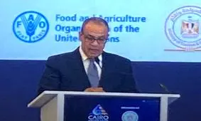 تأکید وزیر خارجه مصر بر لزوم ورود کمک‌های انسانی به غزه
