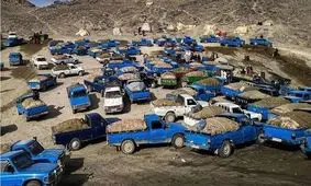 ۲۰ میلیون سوخت قاچاق به جیب چه کسانی می‌رود؟ / سوخت یارانه‌ای را بردار و فرار کن!